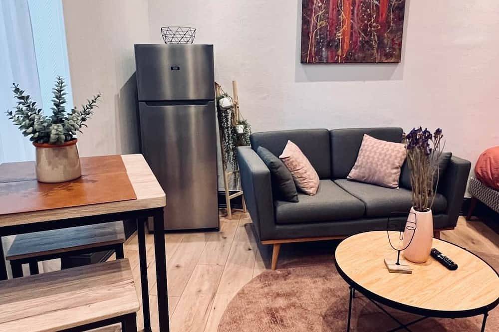Entire apartment, Superb equipped studio - Mulhouse ville in Mulhouse, Mulhouse region