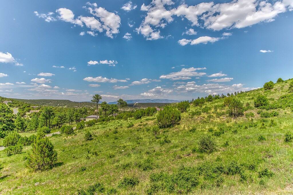 Gotch Eyed Moose | Pool + Tennis, Balcony, Views in Ski Apache