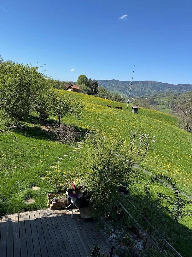 Gîte pour 12 personnes, avec jardin et vue à Habère-Lullin - 4
