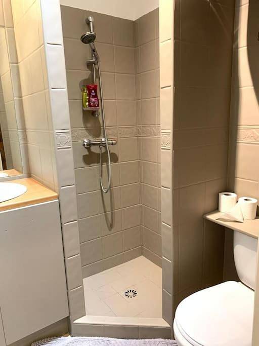 Appartement entier, Studio in Bourg-de-Péage, Région de Valence