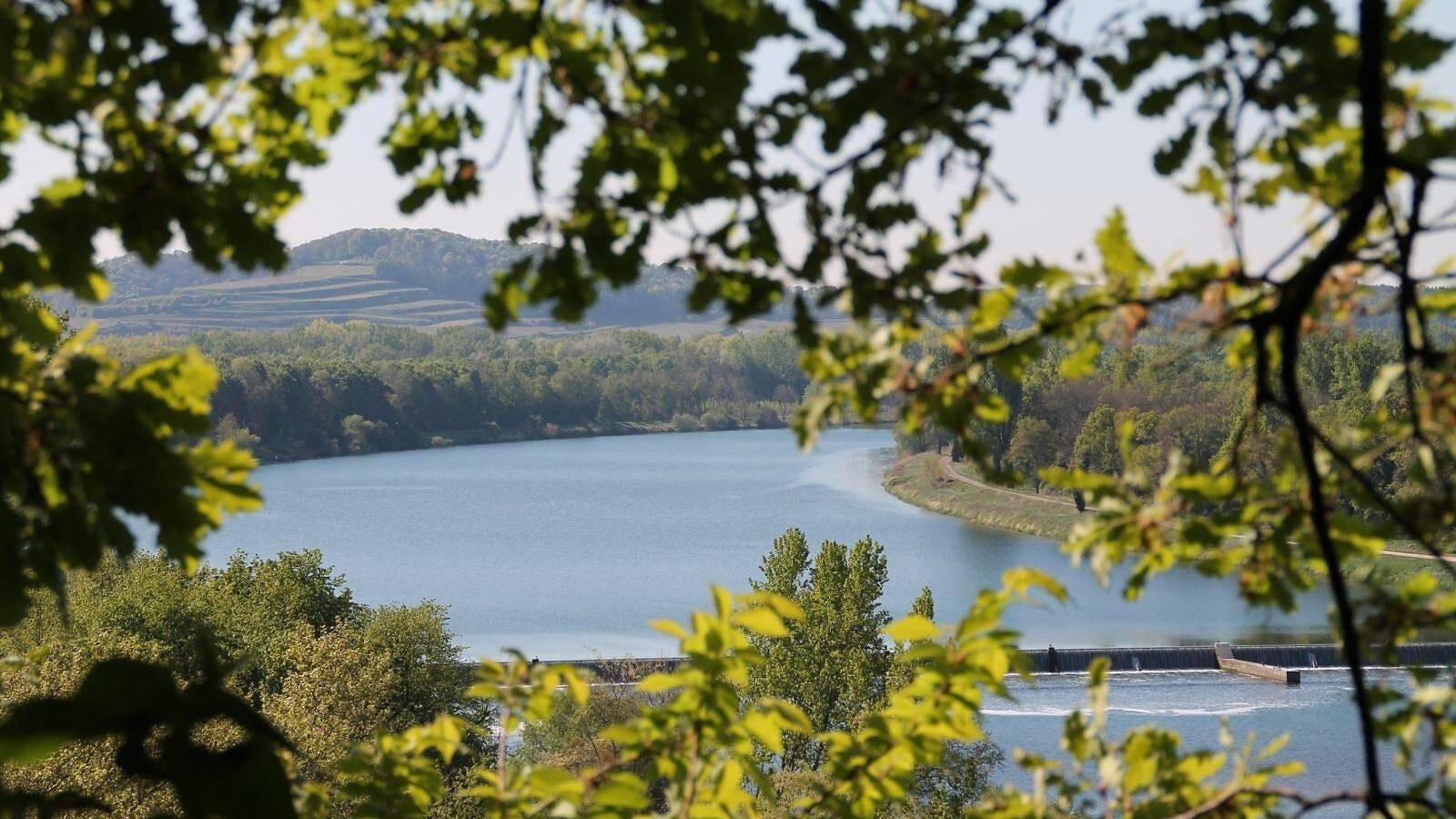 Ganze Wohnung, Ferienwohnung 'B' mit Bergblick, Wlan und Klimaanlage in Sasbach am Kaiserstuhl, Kaiserstuhl