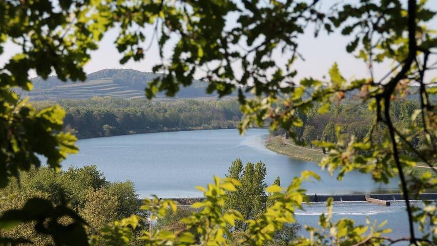Ferienwohnung für 4 Personen, mit Balkon in Sasbach am Kaiserstuhl - 4