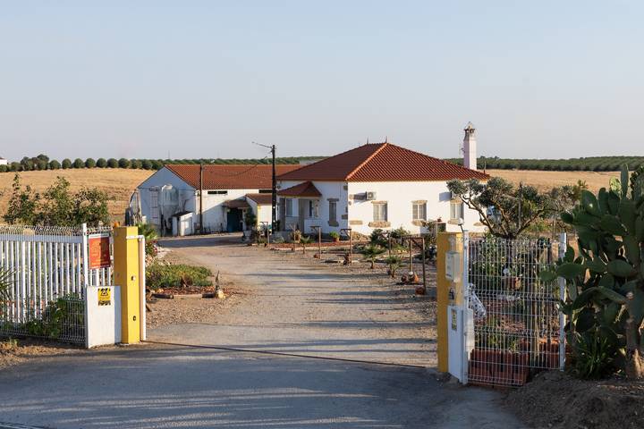 Studio für 3 Personen, mit Garten, mit Haustier in Portugal - 2