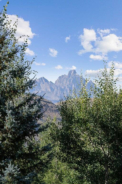 Ganze Wohnung, Außenposten: Grand View 3610 in Jackson (WY), Grand Teton Nationalpark