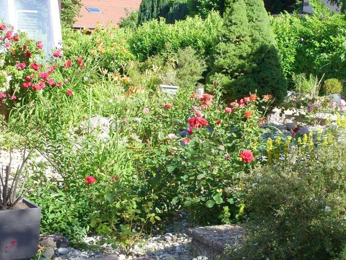 Gîte pour 5 personnes, avec vue sur le lac ainsi que jardin et vue, adapté aux familles à Oberhaslach - 3