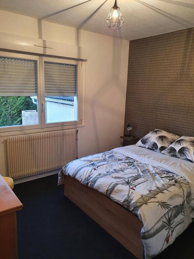 Gîte pour 6 personnes, avec terrasse et jardin à Luxeuil-les-Bains - 2