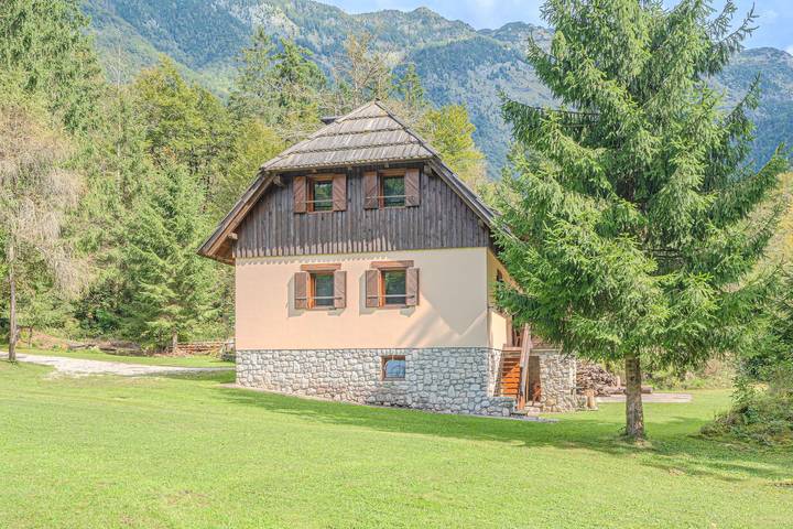Chalet for 12 people, with terrace, with pets - 1
