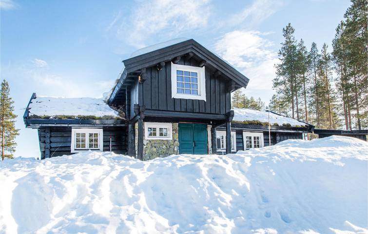 Location de vacances pour 8 personnes, avec terrasse et jardin dans Trysil - 2