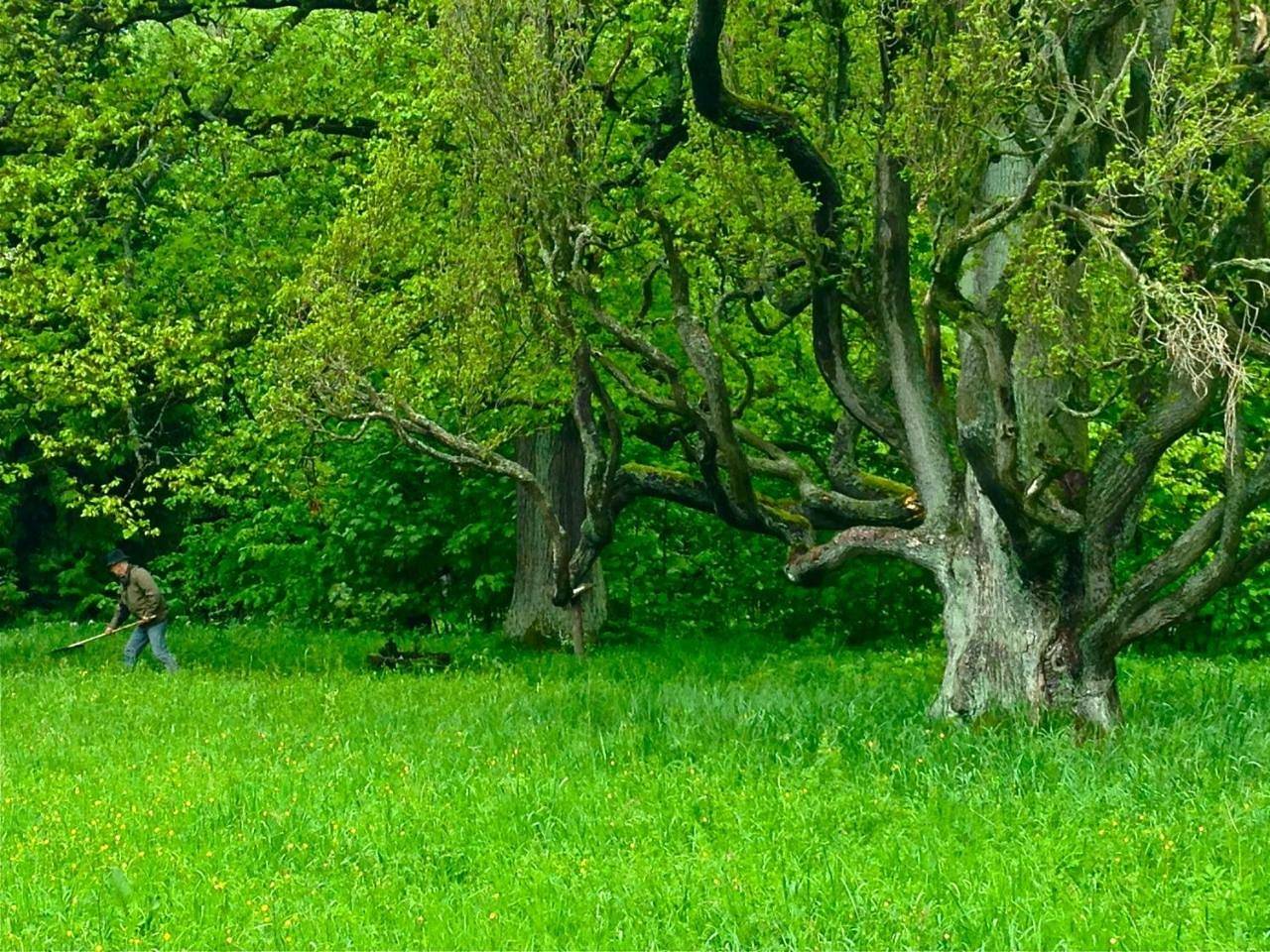 Kunstpark Reinhardsbrunn in Friedrichroda, Rennsteig