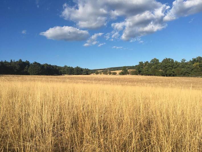 Gîte pour 6 personnes, avec jardin et piscine, animaux acceptés à Redortiers - 2