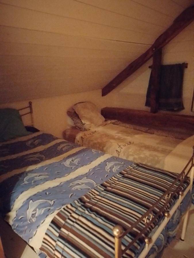 Location de vacances pour 7 personnes, avec terrasse et vue, animaux acceptés à Vielleségure - 3