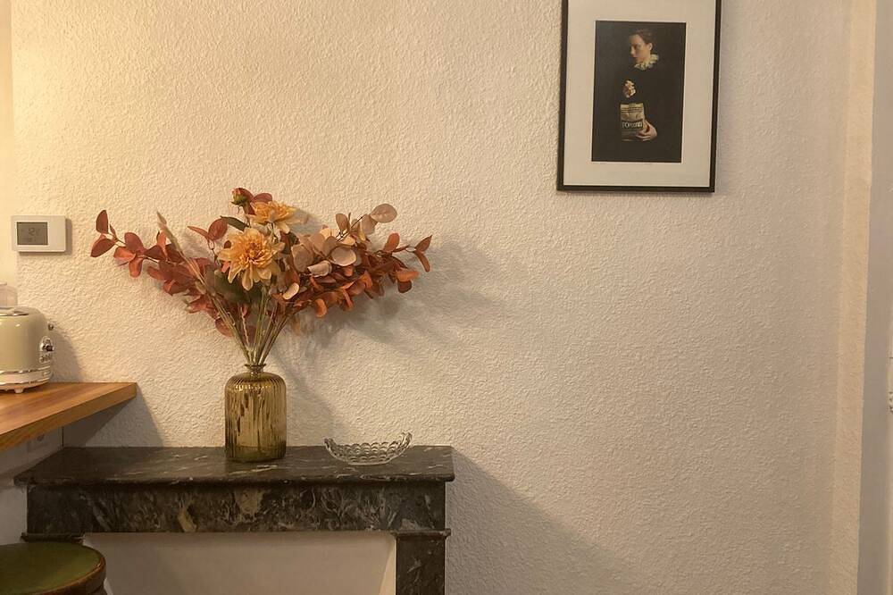 Entire apartment, Charmant T2 au Coeur de la Ville in Clermont-Ferrand, Volcans d'Auvergne Regional Nature Park