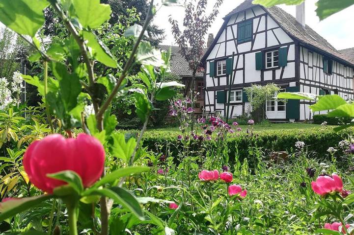 Location de vacances pour 6 personnes, avec jardin à Ohnenheim