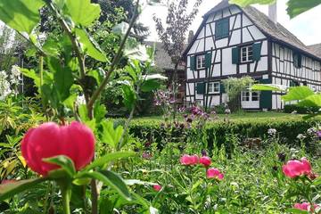 Gîte pour 6 personnes, avec jardin à Ohnenheim