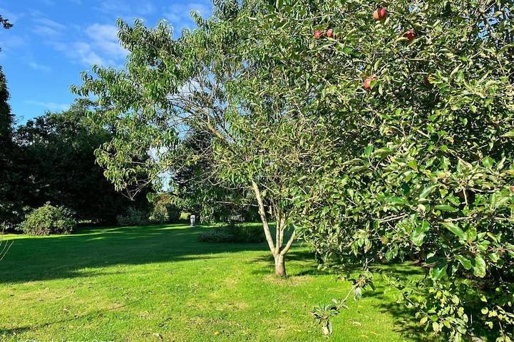 Gîte pour 2 personnes, avec jacuzzi et jardin à L'Épinay-le-Comte - 4