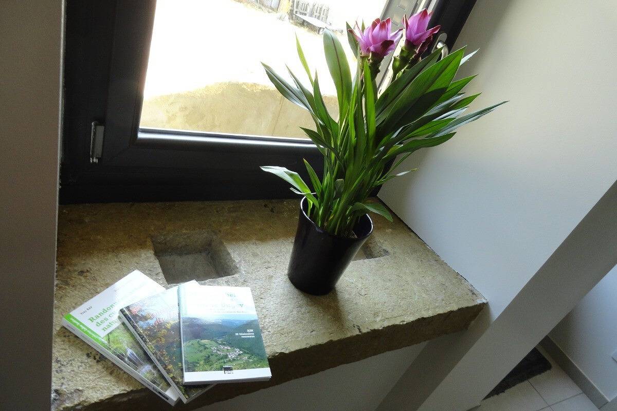 Ferienhaus für 8 Personen mit Terrasse in Marchamp, Belley
