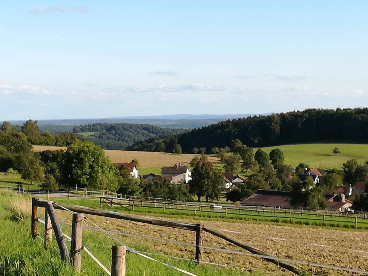 Appartement entier, Ferienwohnung Darsberg in Neckarsteinach, Bergstraße