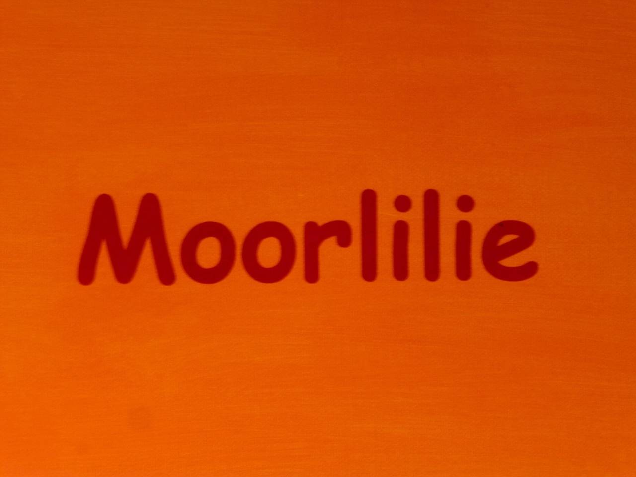 Ganze Wohnung, Ferienwohnung 'Moorlilie' mit Wi-Fi in Ostrach, Region Bodensee-Oberschwaben