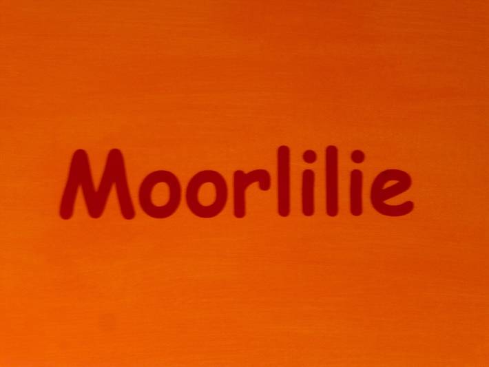Entire apartment, Apartment 'Moorlilie' with Wi-Fi in Ostrach, Region Bodensee-Oberschwaben