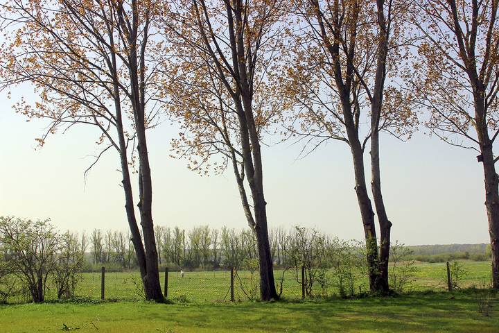 Ferienwohnung für 4 Personen, mit Garten und Terrasse in Börgerende-Rethwisch - 3