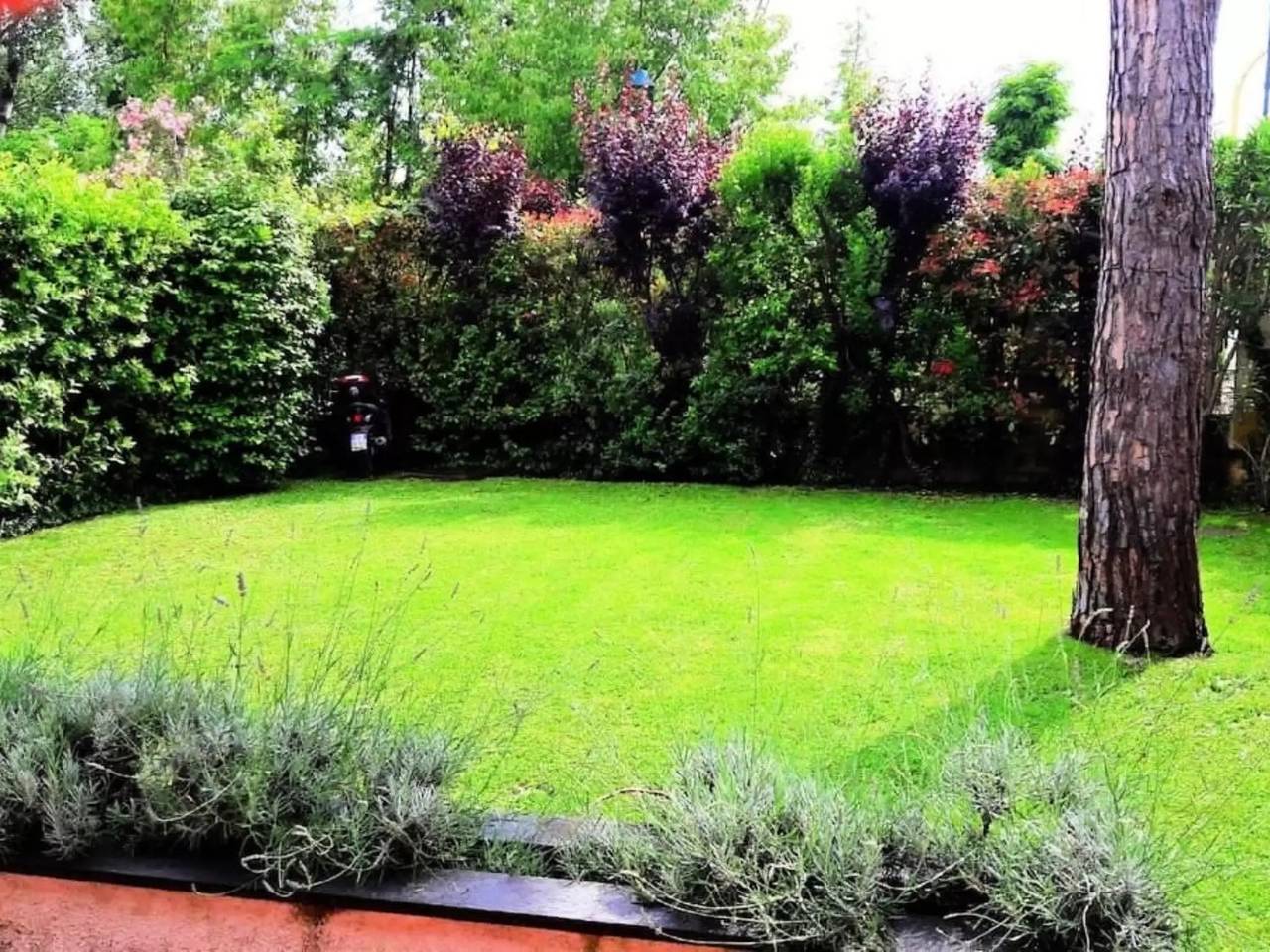 Haus 4 Personen in Forte dei Marmi, Italienische Riviera