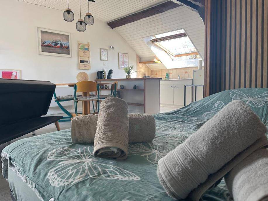 Appartement entier, One-Bedroom Apartment in Saulcy-sur-Meurthe, Saint-Dié-des-Vosges