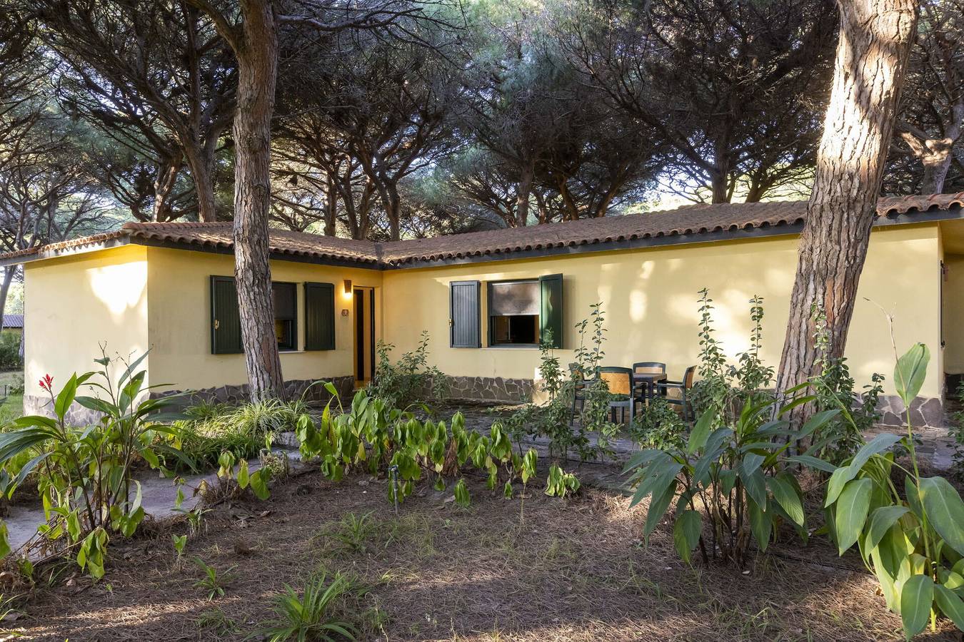 Nature & Country Resort Near The sea - Green Apartment, Ac, Wifi in Arborea, Campidano