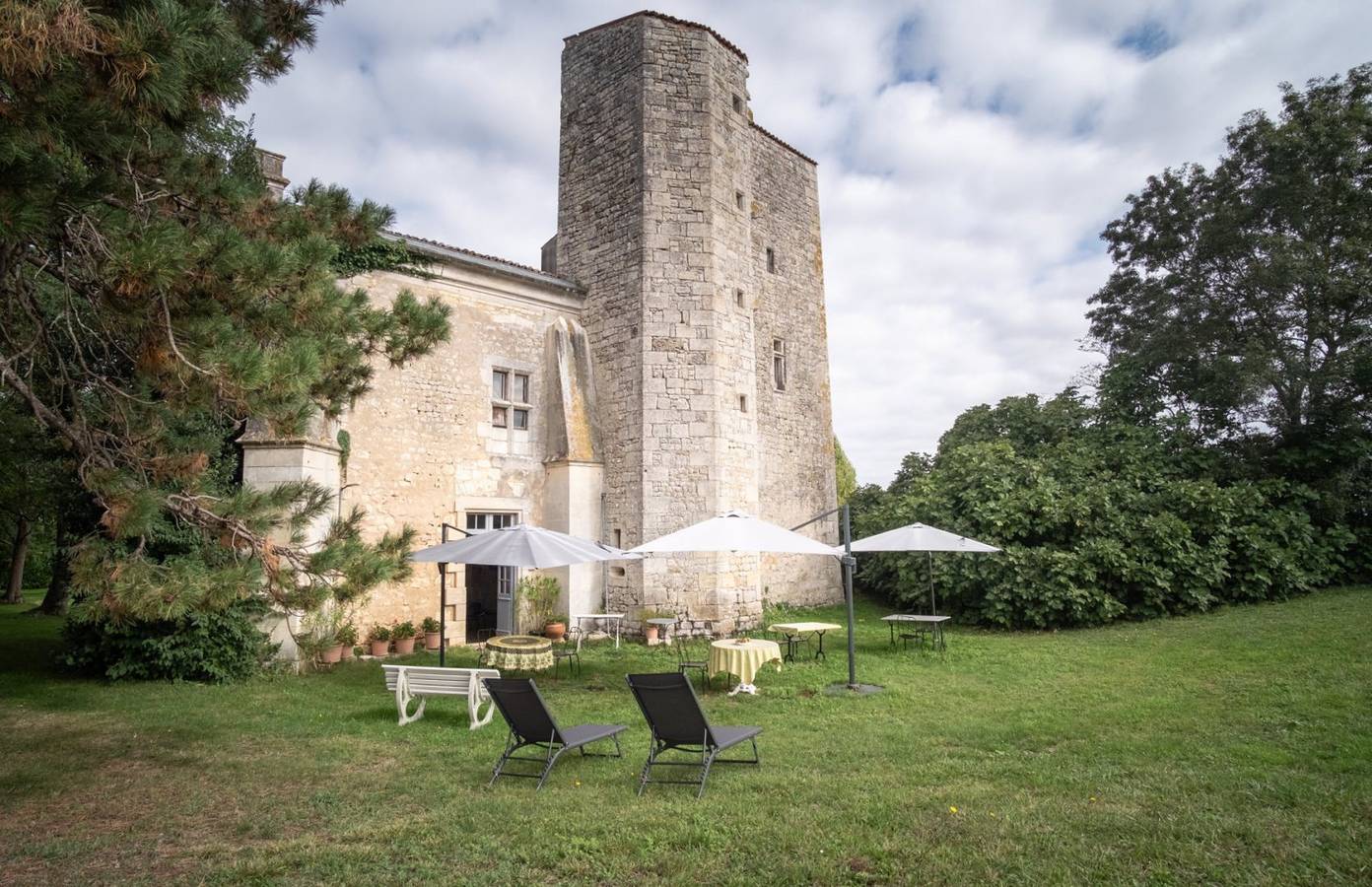 Chambres d'hôtes dans château 14° siècle - Rose André in Champdolent, Région de Saint-Jean-d'Angély