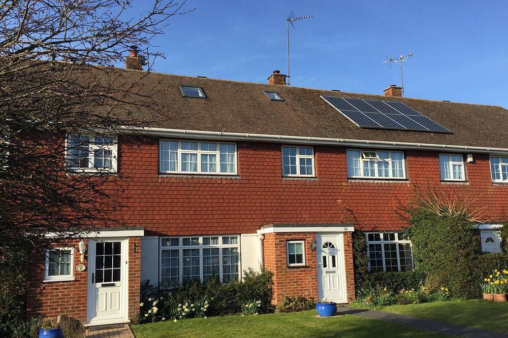 ** Winter Saver ** The New Forest - Brockenhurst, Uk in Brockenhurst, Hampshire