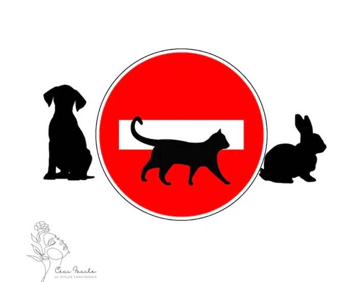 Gîte pour 3 personnes, avec terrasse et vue à Avrillé - 3