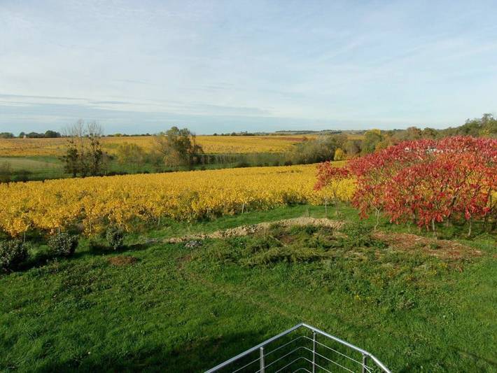 Gîte pour 5 personnes, avec jardin et vue, adapté aux familles à Saint-Aubin-de-Luigné - 3