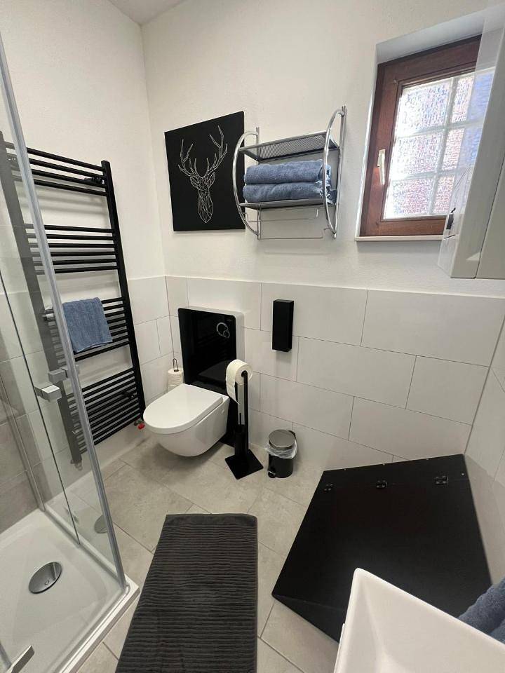 Charmantes denkmalgeschütztes Tiny House am Rhein in Rhens, Osteifel