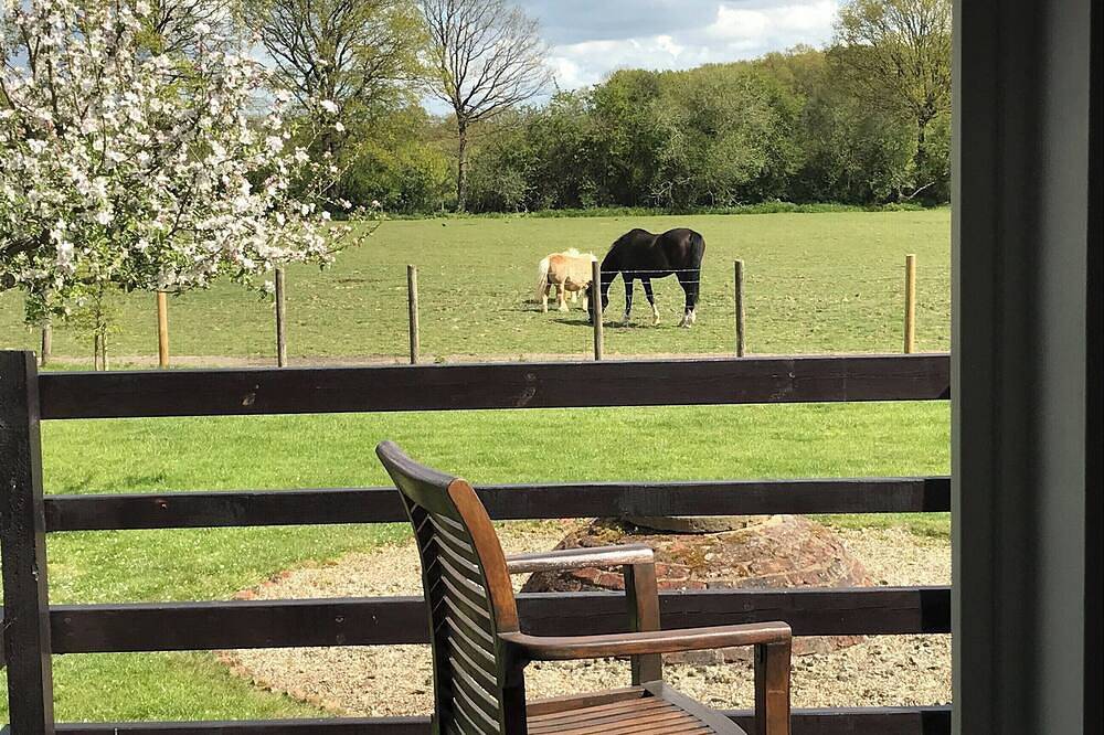 Maplehurst Barn Stables in Staplehurst, Kent