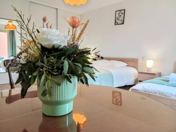 Location de vacances pour 5 personnes, avec jardin à Marmande - 2