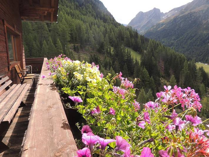 Gîte pour 4 personnes, avec sauna et balcon, animaux acceptés dans Gries - 4