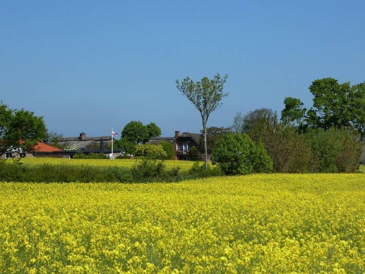 Ferienhaus für 4 Personen, mit Seeblick und Terrasse sowie Garten in Kappeln - 4