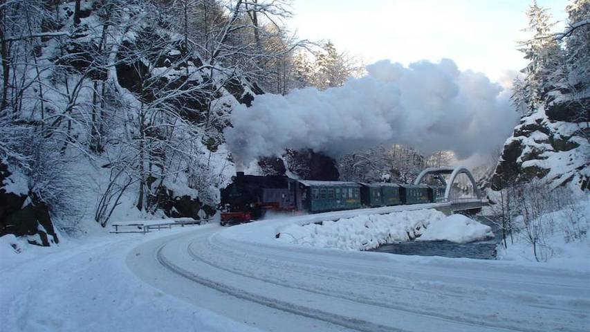 Ferienhaus für 6 Personen, mit Garten in Dresden umland - 2
