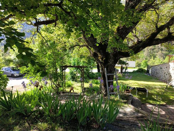 Chambre d’hôte pour 2 personnes, avec jardin dans les Alpes-de-Haute-Provence - 3