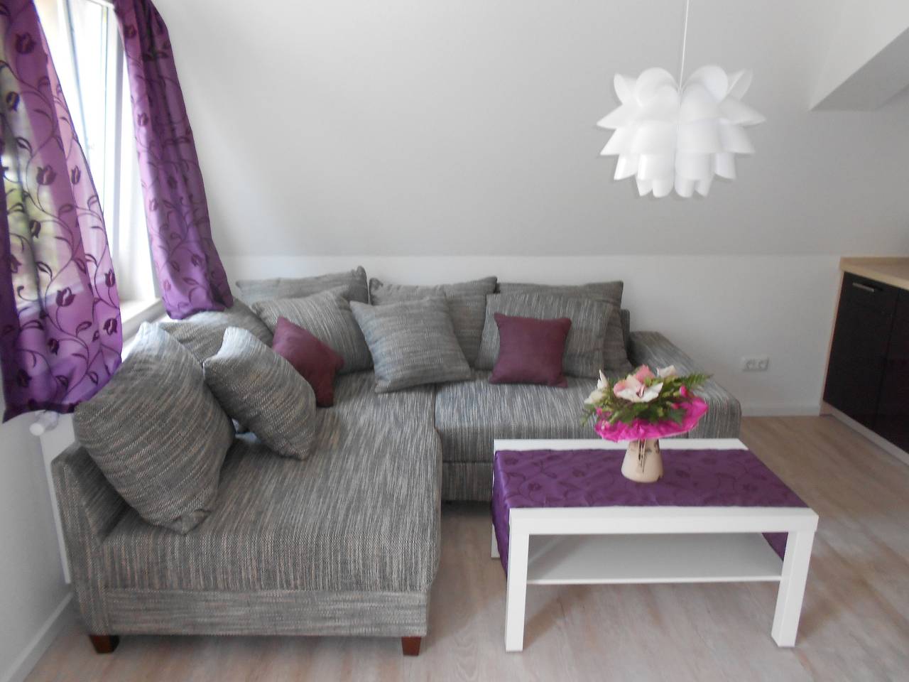 Ganze Ferienwohnung, Silbermöwe in Kölpinsee, Loddin