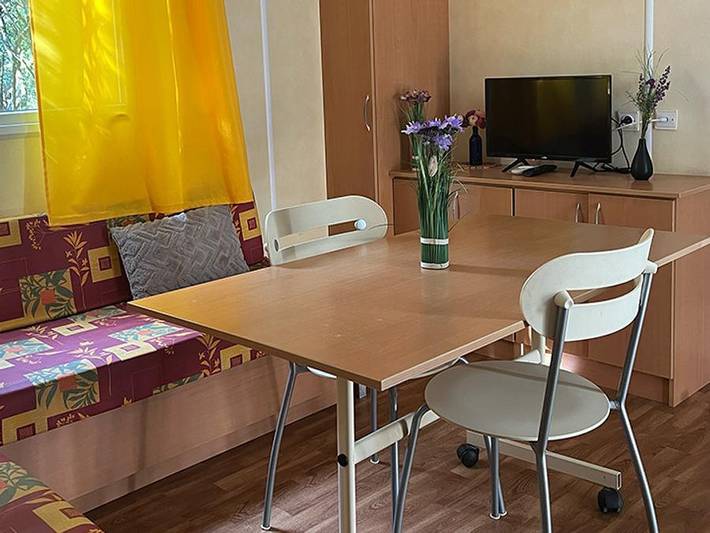 Mobil home pour 6 personnes à Méjannes-le-Clap - 4