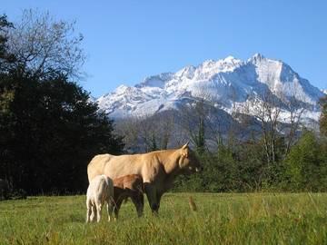 Gîte pour 2 Personnes dans Arcizans-Dessus, Pyrénées, Photo 4