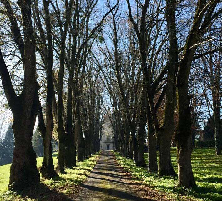 Location de vacances pour 2 personnes, avec jardin et vue à Chasseneuil-sur-Bonnieure - 3