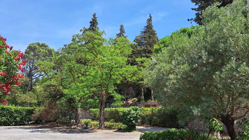 Gîte pour 5 personnes, avec jardin dans Canal De La Robine - 2