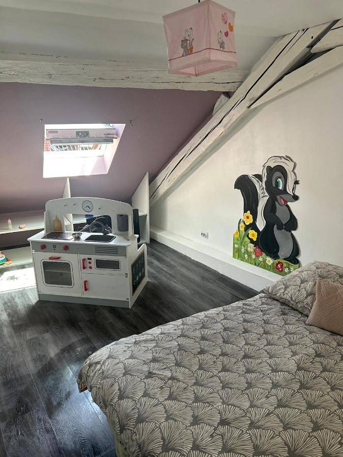 Gîte pour 9 personnes, animaux acceptés à Faverges - 4