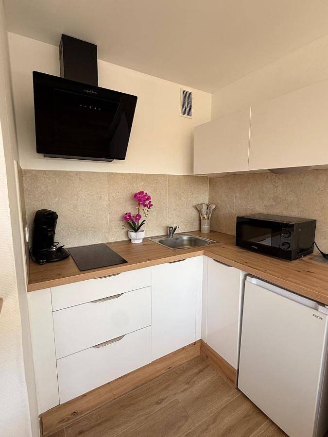 Gîte pour 2 personnes, avec balcon, animaux acceptés à Erstein - 3