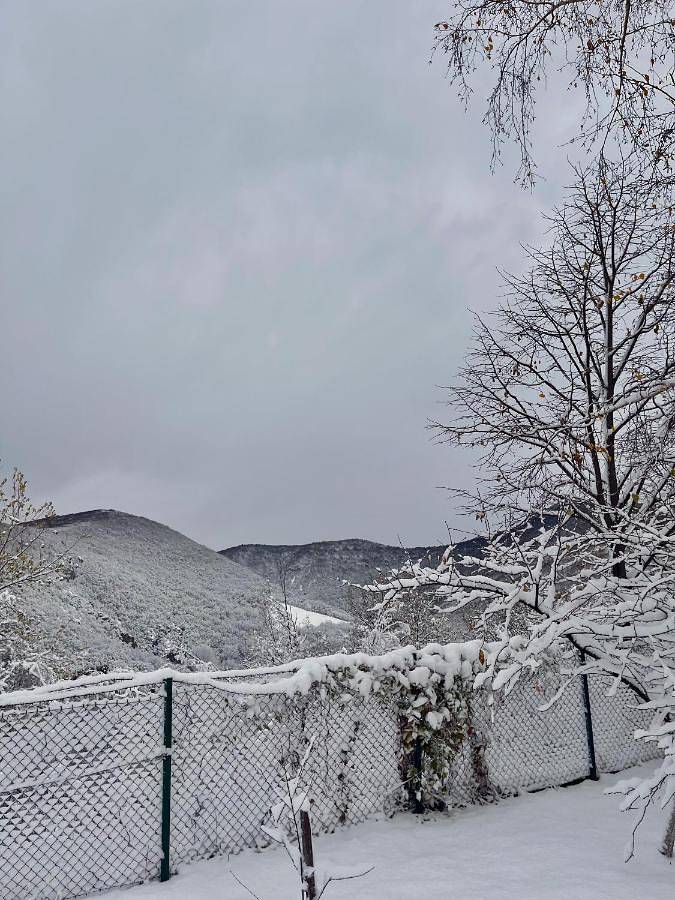 Location de vacances pour 6 personnes, avec jardin et vue, animaux acceptés à Despotovac - 4