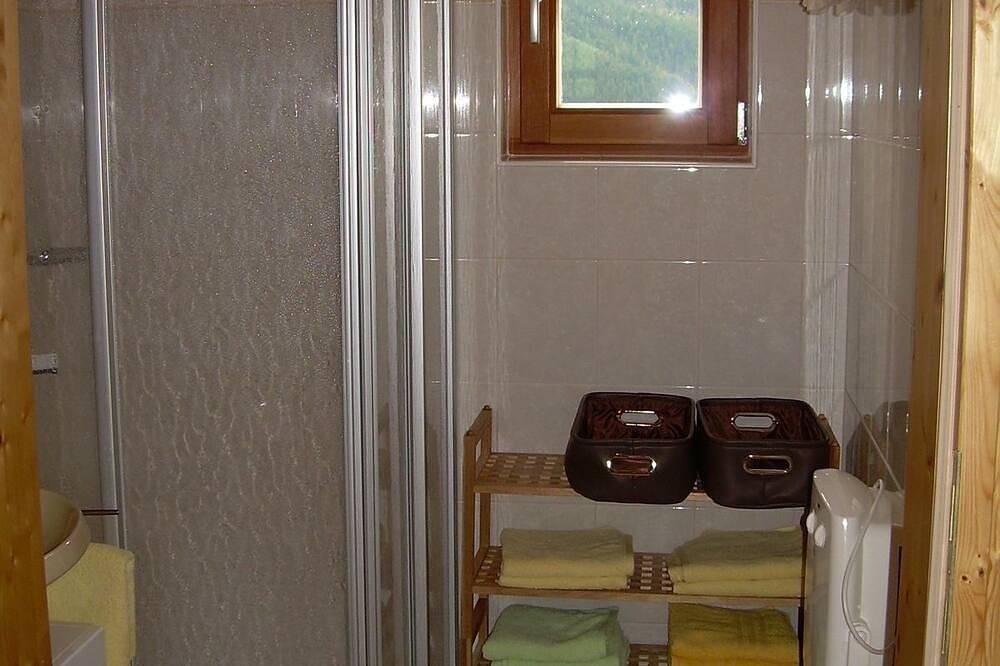 Vacation home for 6 guests with 100m² in Bischofshofen (294881) in Bischofshofen, Ski Amadé