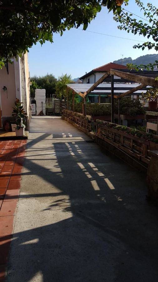 Location de vacances pour 6 personnes, avec jardin à Vallecrosia - 3