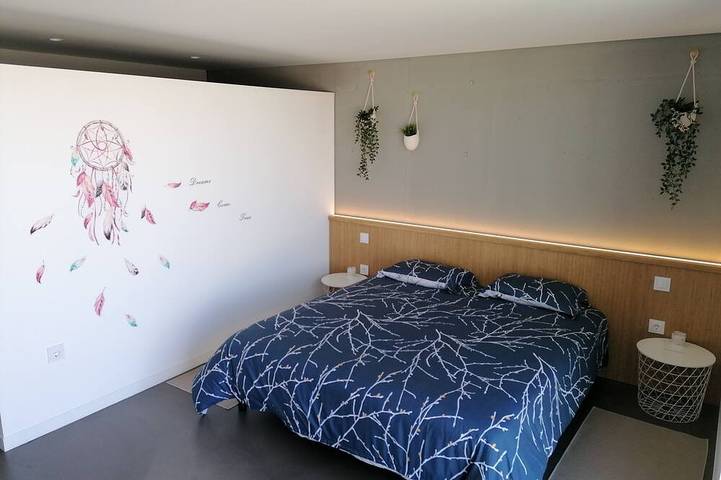 Gîte pour 14 personnes, avec jardin à Oliveira de Frades - 2