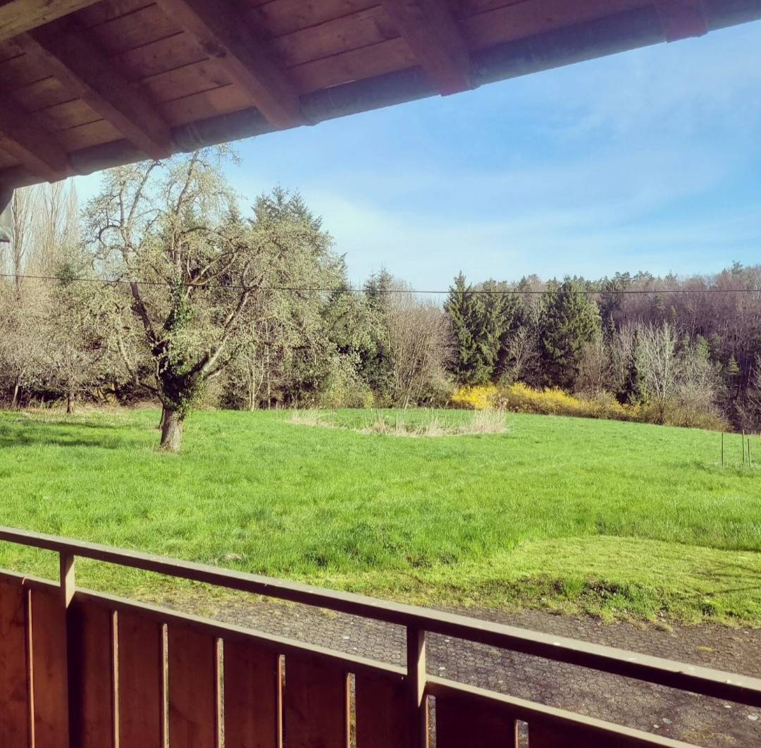 Ganze Ferienwohnung, Fewo Hof Honisheim - 1,5-Zimmer-Fewo, Einzellage, Balkon, 46 qm, Eg in Gaienhofen, Untersee